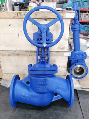 波紋管閥（fá）門產品展（zhǎn）示