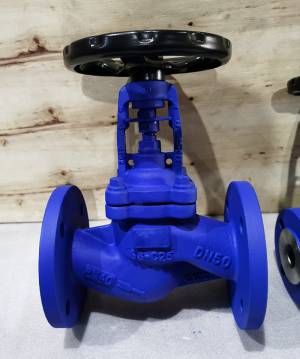 波紋管閥（fá）門產品展示（shì）